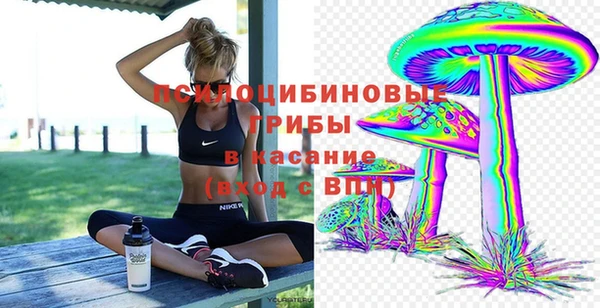 круглые Алзамай