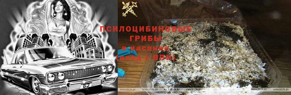 кокаин премиум Алексеевка