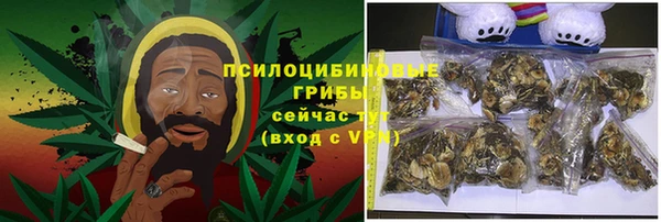 дмт Алексин