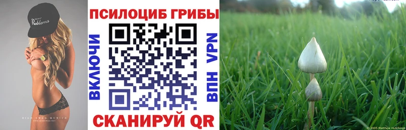 Галлюциногенные грибы мухоморы  наркотики  Старая Русса 